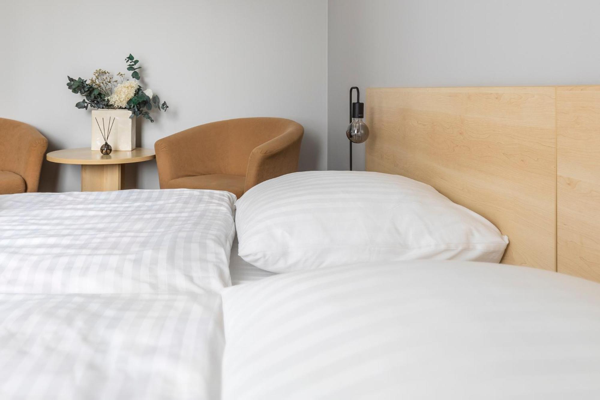 Domus Hotel Birštonas Zewnętrze zdjęcie
